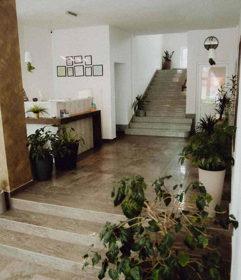 Vila Ursul Negru Совата Экстерьер фото