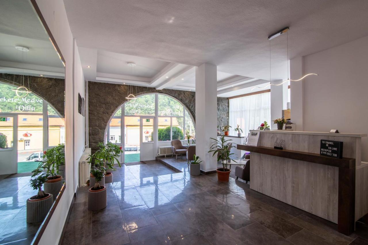 Vila Ursul Negru Совата Экстерьер фото