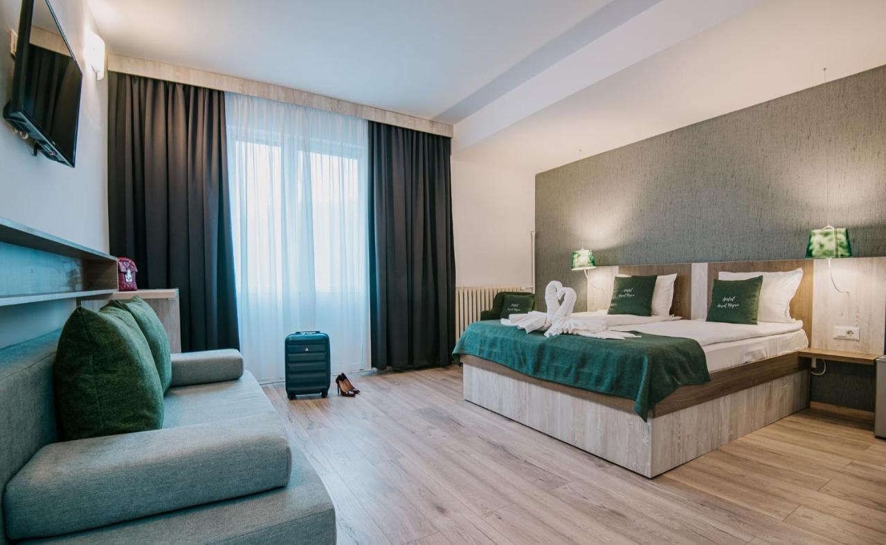 Vila Ursul Negru Совата Экстерьер фото