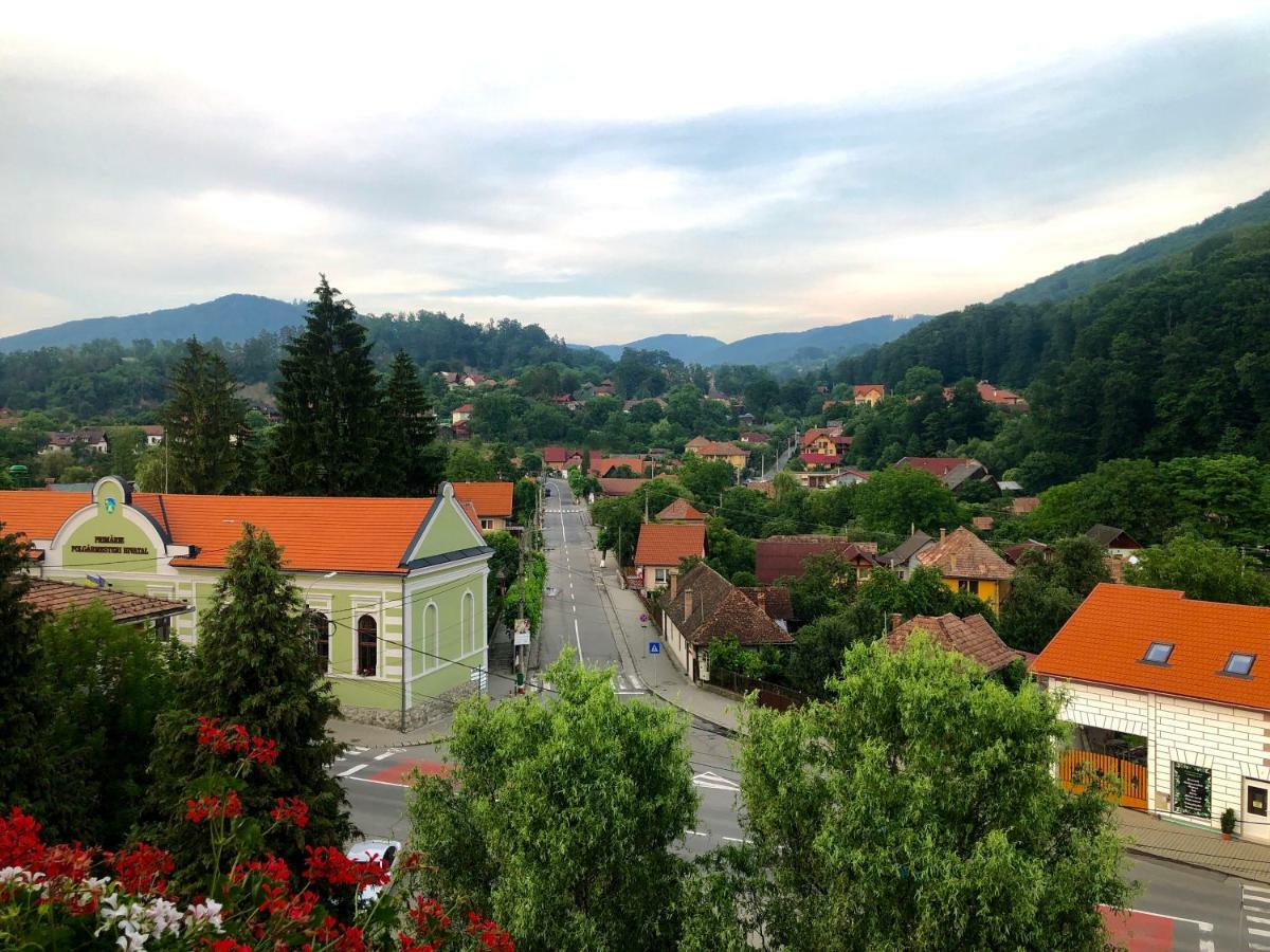 Vila Ursul Negru Совата Экстерьер фото