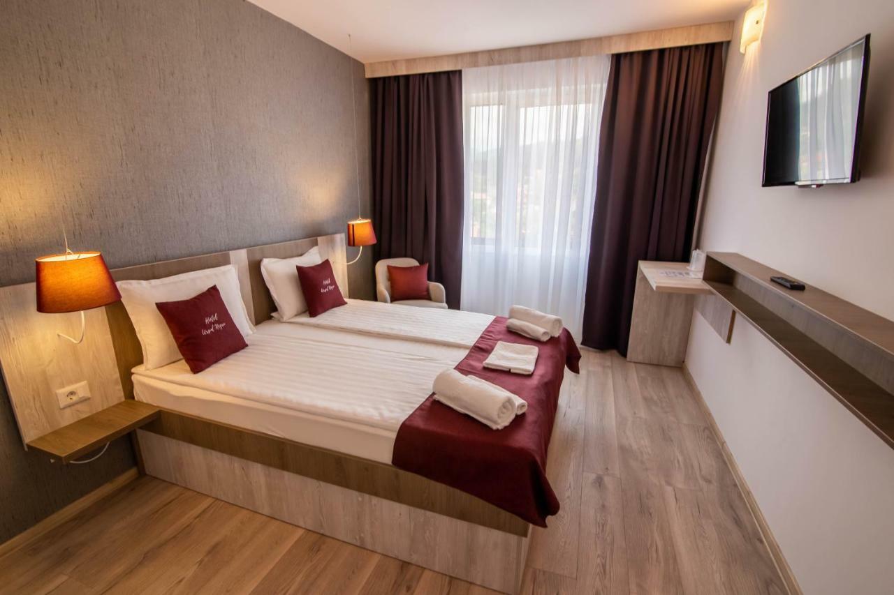 Vila Ursul Negru Совата Экстерьер фото